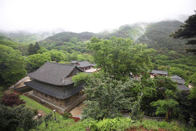 화중 코스가 시작되는 화엄사. ⓒ박준규