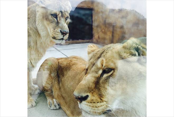 [스파밸리 네이처파크 제공]