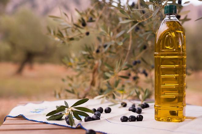 올리브열매와 올리브오일 [123rf]