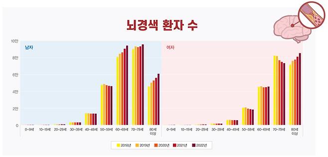 사진출처|건강보험심사평가원 HIRA 빅데이터 개방포털/진료코드 I63 뇌경색증