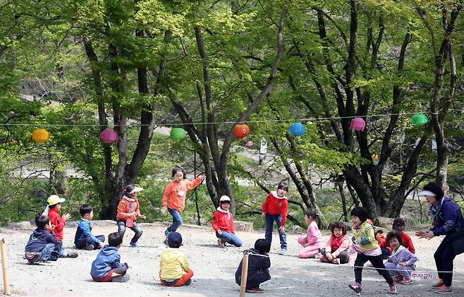 전남 장성군 백양사에 소풍을 나온 어린이들이 수건돌리기를 하며 즐거운 한때를 보내고 있다. 2014년 [연합뉴스 자료사진]