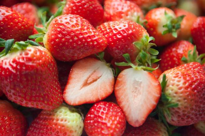 딸기 역시 폴리페놀 성분, 섬유질 등이 풍부한 저당분 과일이다. [사진=클립아트코리아]