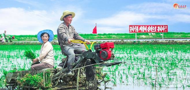 (평양 노동신문=뉴스1) = 북한 노동당 기관지 노동신문은 26일 "올해 농사에서 반드시 훌륭한 결실을 이뤄내려는 전 인민적인 투쟁 기세가 고조되는 속에 각지 농촌들에서 모내기가 더욱 힘있게 추진되고 있다"라며 전국 각지 농장의 모내기 현장 모습이 담긴 사진을 게재했다. 사진은 평안남도 숙천군 칠리농장. [국내에서만 사용가능. 재배포 금지. DB 금지. For Use Only in the Republic of Korea. Redistribution Prohibited] rodongphoto@news1.kr