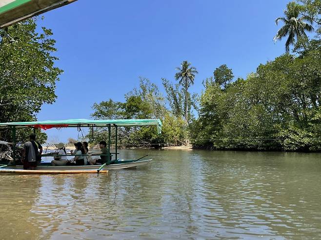 필리핀 팔라완의 맹그로브 숲. 이혜원 동아닷컴 기자 hyewon@donga.com