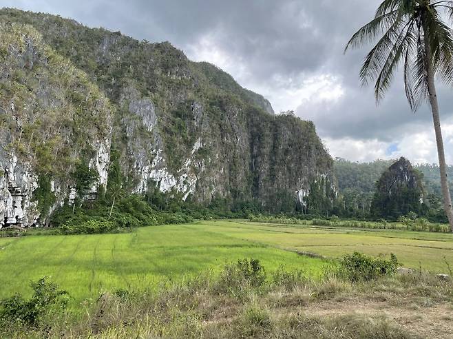 호텔로 가는 길에 만날 수 있는 코끼리 모양의 카르스트 지형(Karst Mountain Elephant Cave). 이혜원 동아닷컴 기자 hyewon@donga.com