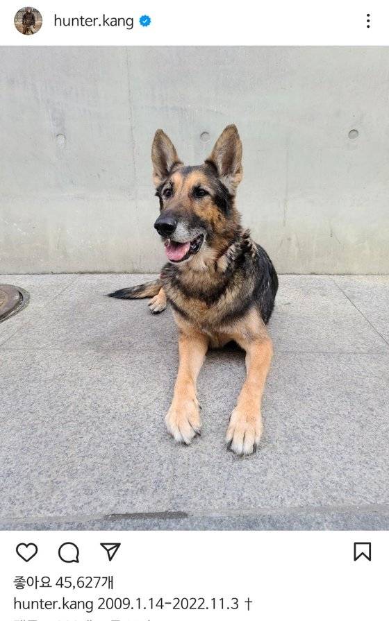 강 대표는 지난 2022년 11월 안락사한 반려견 레오를 방치했다는 논란에 대해서도 재차 해명했다. 사진 인스타그램 캡처