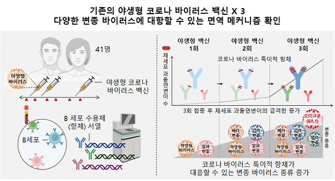 서울대병원 제공