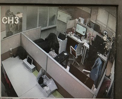 반려견 훈련사 강형욱 보듬컴퍼니 대표와 직원들 간 진실공방이 이어지는 CCTV 감시 문제에 대한 전 직원 촬영 사진. 2017년 2월경 잠원동 7층 사무공간을 비추는 CCTV 화면. 사진 제보자