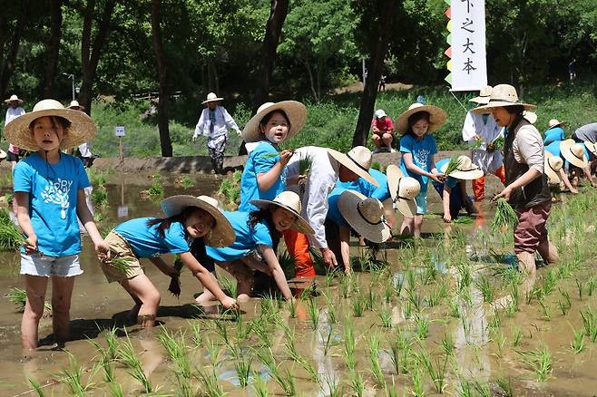 27일 서울 강남구 양재천의 벼농사 학습장에서 열린 모내기 행사에 참가한 어린이들이 모를 심고 있다. 이충우 기자