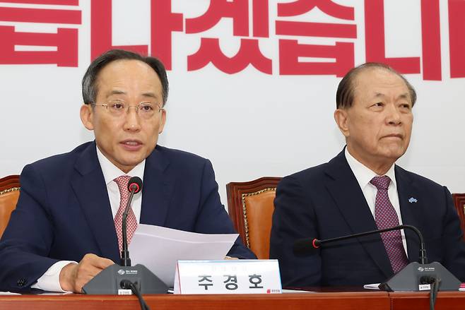 국민의힘의 추경호 원내대표(왼쪽)와 황우여 비상대책위원장 [연합]