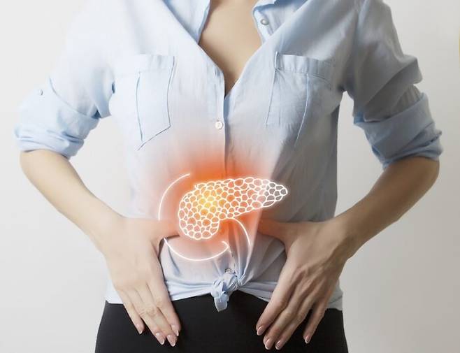췌장암은 조기 발견이 어렵고 생존율이 낮아 '침묵의 살인자'라고 불린다. [사진=게티이미지뱅크]