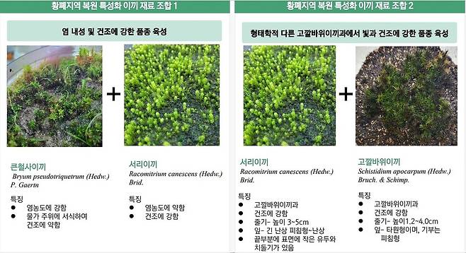 박재홍 코드오브네이처 대표가 28일 ‘충남 이끼클러스터 조성 기본구상 세미나’에서 발표한 토양별 특성에 맞는 이끼 종류 사례. 박재홍 코드오브네이처 대표 발표자료