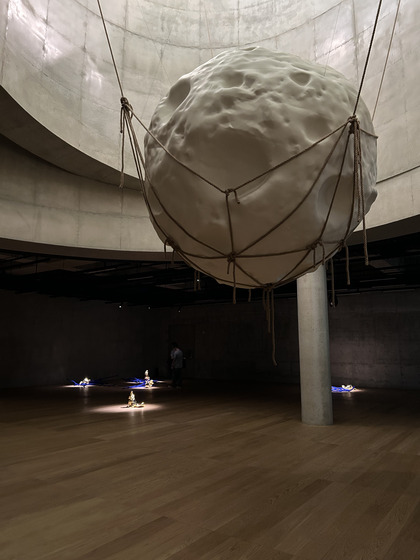 Installation view of “Beneath the Cultivated Grounds, Secrets Await″ [SHIN MIN-HEE]