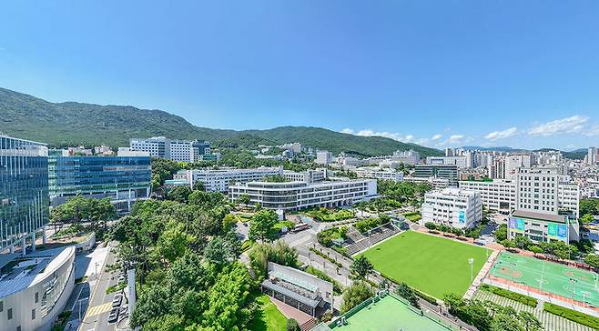 [부산=뉴시스] 부산대학교. (사진=뉴시스 DB). photo@newsis.com *재판매 및 DB 금지