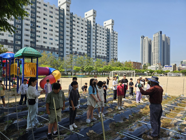 ▲익산시의 이리고현초와 이리동북초 등 12개 학교는 학교 텃밭인 '스쿨팜'을 운영하고 있다. ⓒ익산시