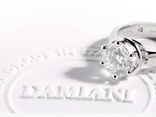 다미아니 관련 사진. [다미아지 홈페이지]