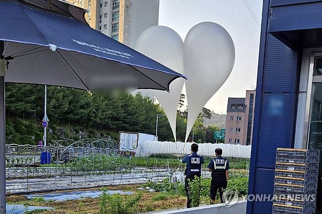 용인서 발견된 대남 살포용 추정 풍선 (용인=연합뉴스) 29일 오전 경기 용인시 처인구의 한 텃밭에서 북한이 날려 보낸 것으로 추정되는 풍선이 발견돼 군과 경찰이 내용물을 조사하고 있다. 2024.5.29 [독자 제공. 재판매 및 DB금지] stop@yna.co.kr