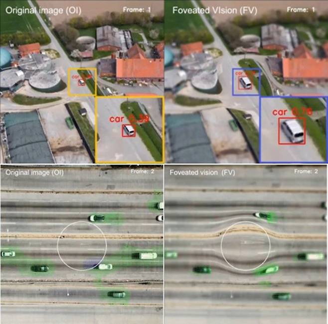 IBS 김대형 부연구단장 연구진이 개발한 물체 감지 특화 카메라(오른쪽)는 기존 카메라 시스템(왼쪽)에 비해 중심와 시야 물체를 확대해 물체 인식률이 우수하다. 또한, 중앙부와 주변부 영역의 시야 차이를 이용해 물체의 움직임 변화를 더 잘 포착한다(아래). IBS 제공