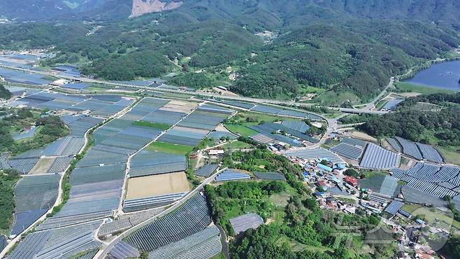 충북 영동군 학산면 일대 들녘마다 빼곡하게 펼쳐진 비닐하우스가 마치 은빛 물결을 연상케 하고 있다. (영동군 제공) /뉴스1