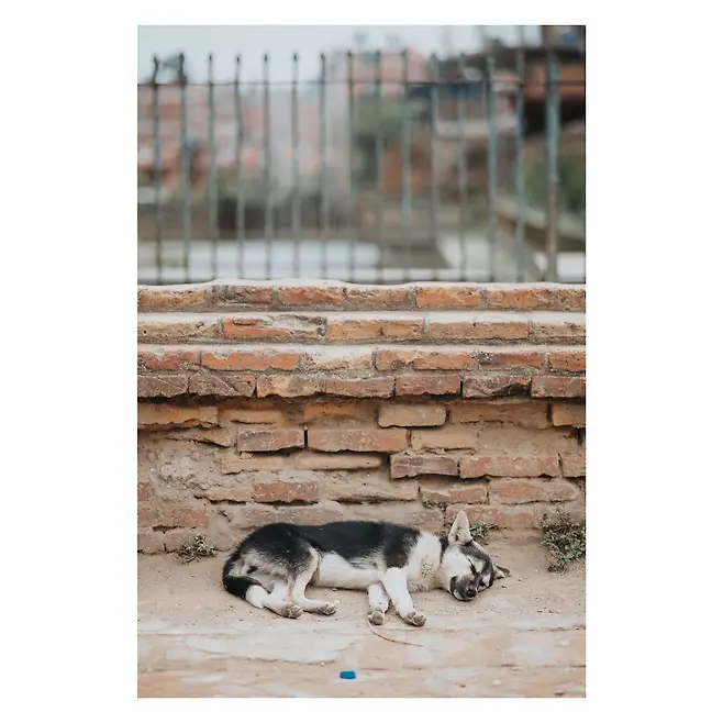 3ab8d236cbd728a762f784e544856d701bf349a5ab266ee6860fe461b895290d5cc4c788