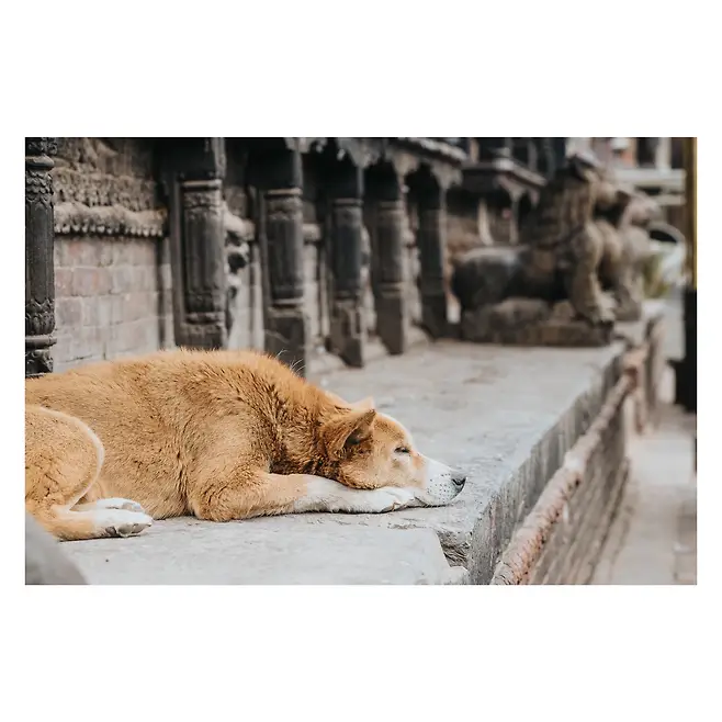 3ab8d236cbd728a762f784e544856d701bf449a5ab266ee6860fe461b895290e3e66f3d2