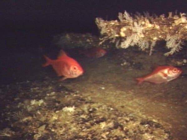 7ce5d622b78a39a26db98ee045857769c6f012b3baec2bf73a4cce825530490f