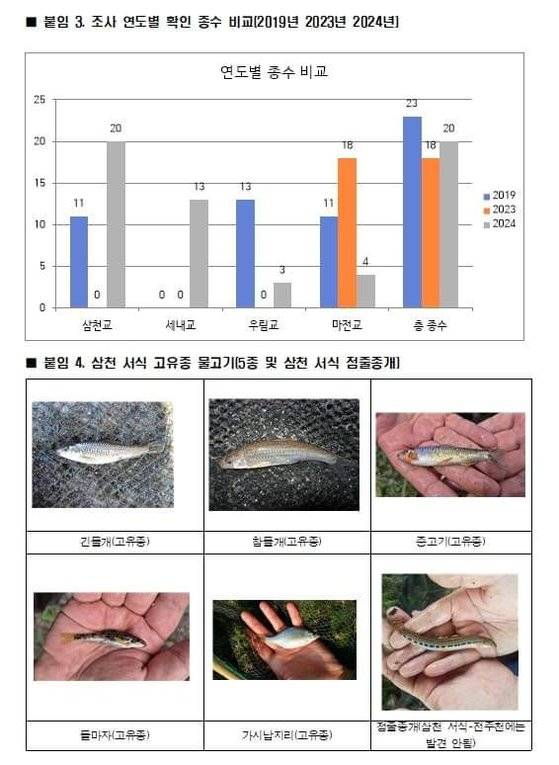 전주생태하천협의회·전북환경운동연합이 전주 삼천 내 물고기 종류를 조사한 내용. 사진 전북환경운동연합
