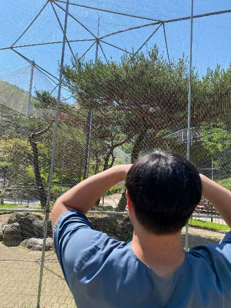 나무에 보호색으로 숨은 올빼미를 찾고 있는 변재원 수의사./사진=이미 올빼미 찾은 남형도 기자