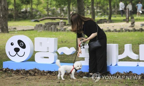 반려견 여행 이벤트에 참가한 반려견 가족. [연합뉴스]