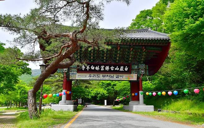 전남 장성군 백양사 일주문. 장성군 제공