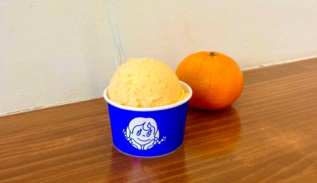 전북 전주 ‘제니러브스젤라또’의 ‘’귤 젤라토''.