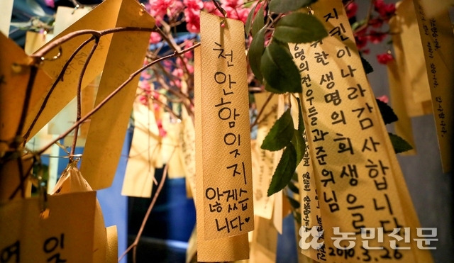 서해수호관에 감사와 위로가 담긴 방문객의 메시지가 걸려 있다.