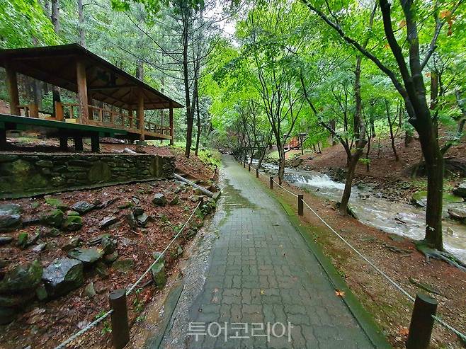 봉학골 산림욕장 산책길.[사진=음성군]