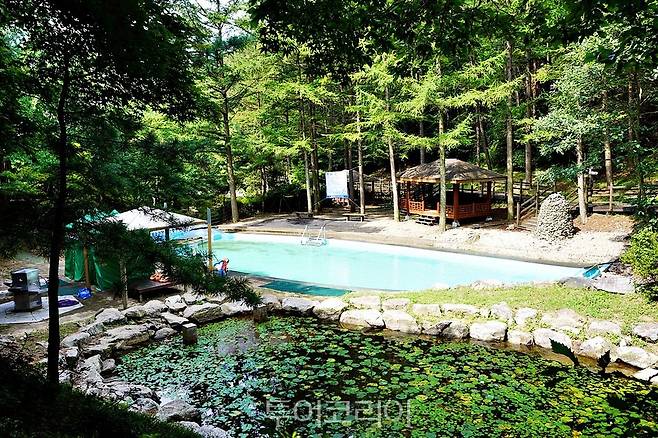 봉학골 산림욕장 물놀이장.[사진=음성군]