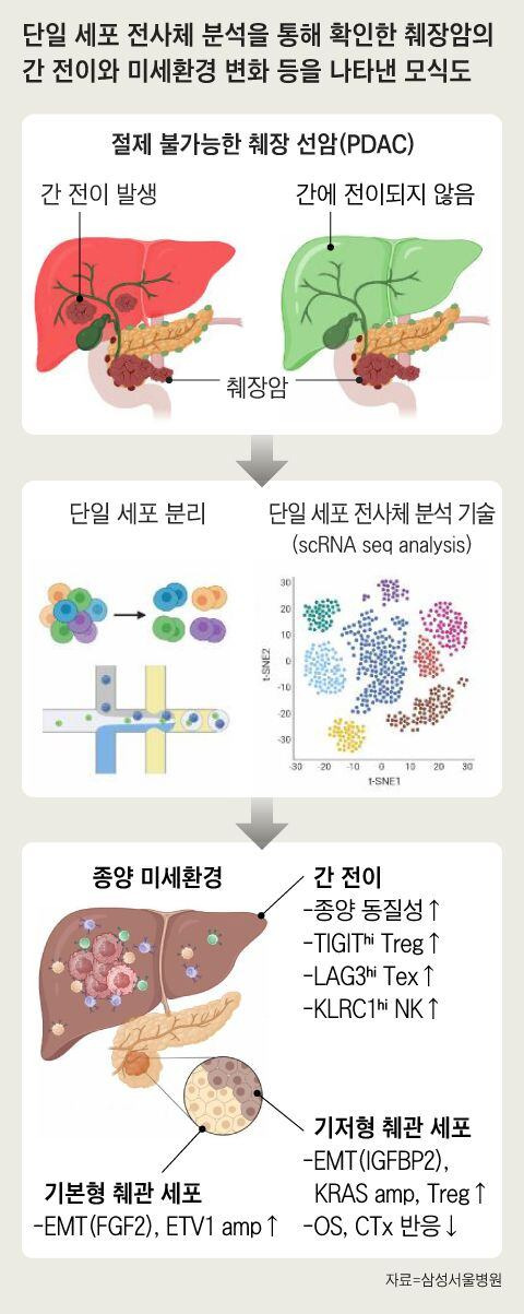 그래픽=조선디자인랩 권혜인