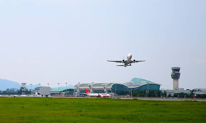 무안국제공항 전경. 무안군 제공