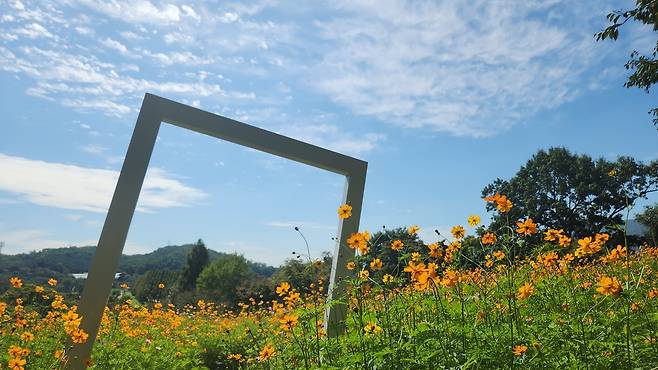 서울대공원 웨딩가든 [서울대공원 제공]