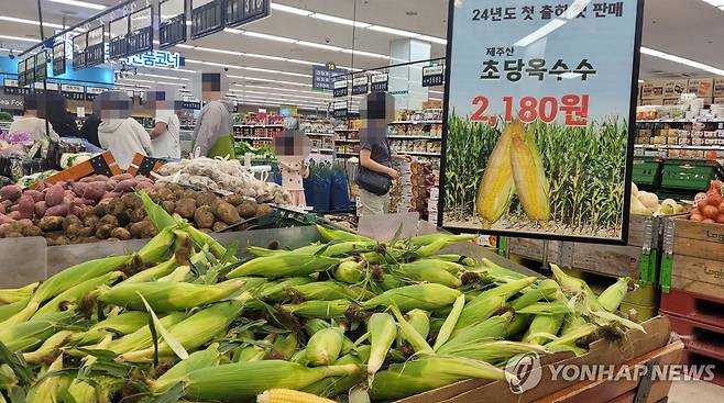 농협하나로마트 초당옥수수 판매 [독자 제공.재판매 및 DB금지]