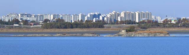 한강하구 독도,윤순영 (사)한국야생조류보호협회 이사장 제공