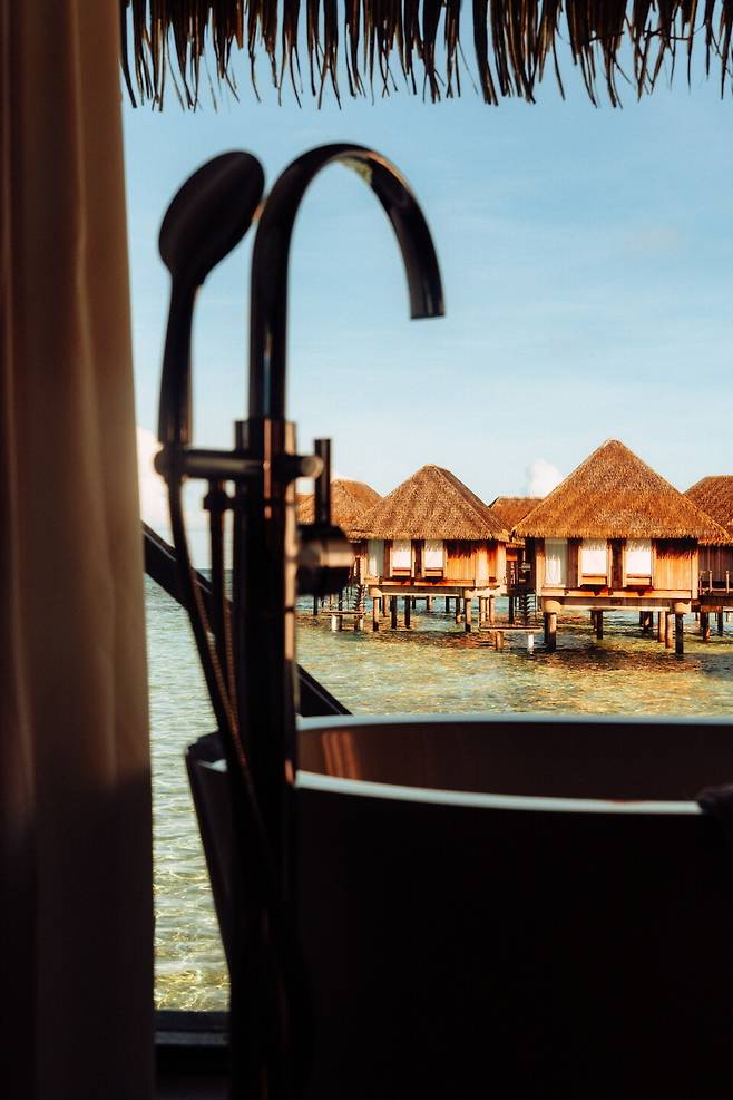 욕조에누우면 바다 위에 드러눕는 기분이 든다