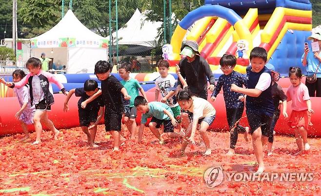 여기가 토마토 천국 (경기 광주=연합뉴스) 홍기원 기자 = 16일 경기도 광주시 퇴촌면 공설운동장에서 열린 '제21회 퇴촌 토마토 축제'에서 '황금 토마토를 찾아라' 이벤트에 참가한 어린이들이 토마토 풀장에서 슬라이딩을 하며 즐거워하고 있다. 2023.6.16 xanadu@yna.co.kr