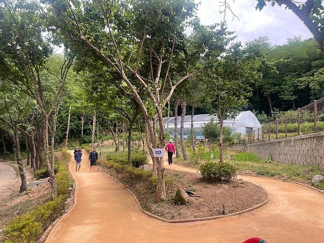 남양주시 별내면 청학리 맨발걷기 길ⓒ남양주시 제공