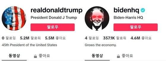 도널드 트럼프 전 미국 대통령과 조 바이든 현 대통령의 틱톡 계정. 프로필 사진을 틱톡이라는 플랫폼의 특색에 맞춰 디자인한 모습도 흥미롭다. 사진 인터넷 캡처