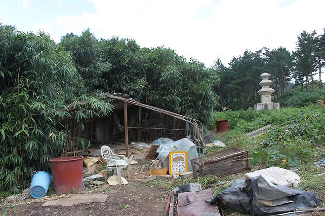보물 '경주 서악동 삼층석탑' 주변 정비 전 모습  [신라문화원 제공. 재판매 및 DB 금지]