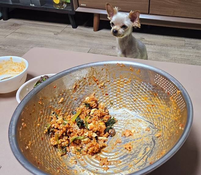 20240605_201549.jpg 저녁은 또 장모님이 주신 열무김치로 비빔밥