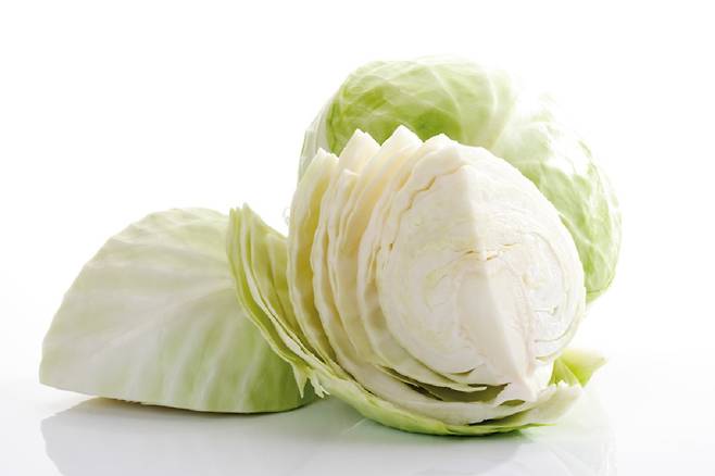 갑상선기능저하증이 있는 사람은 양배추를 과하게 섭취하지 않는 게 좋다./사진=클립아트코리아
