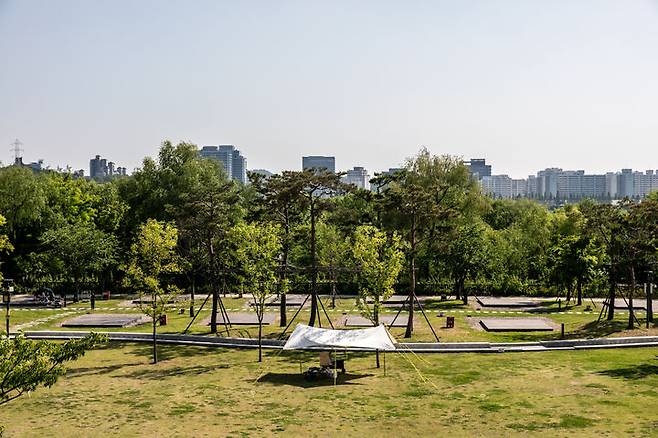 난지캠핑장 프리캠핑구역. (사진=서울관광재단 제공) photo@newsis.com *재판매 및 DB 금지