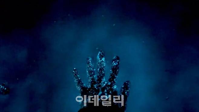 지난 5일 충남 서천 비인해변에서 촬영된 야광충. (사진=독자 제공)