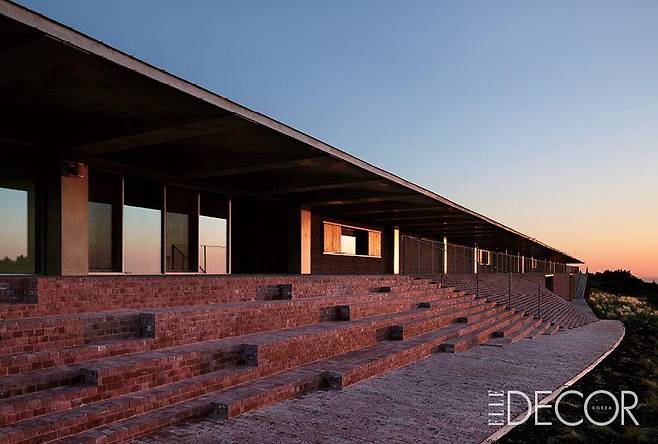 오설록농장 티팩토리.