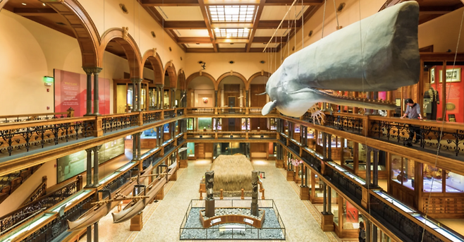 비숍 박물관과 폴리네시안 문화센터(PCC) . 사진제공|팜투어